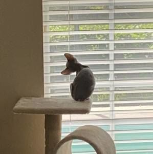 Meet your Posher, Nikki